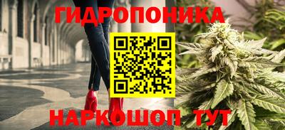 спиды Можга