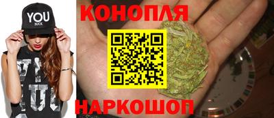 спиды Можга