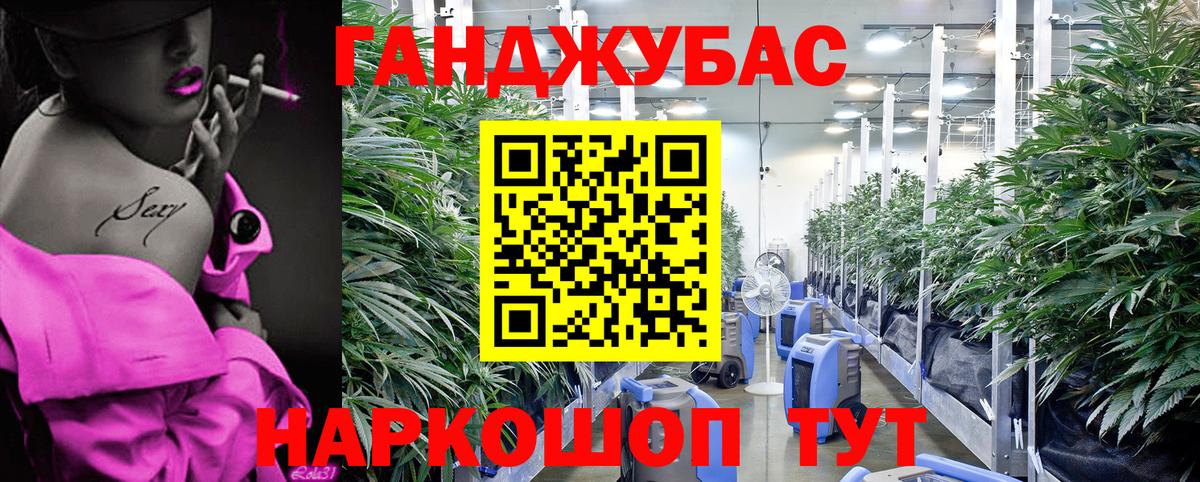 Дятьково  Бошки марихуана Amnesia  Вход с VPN  Каннабис White Widow 